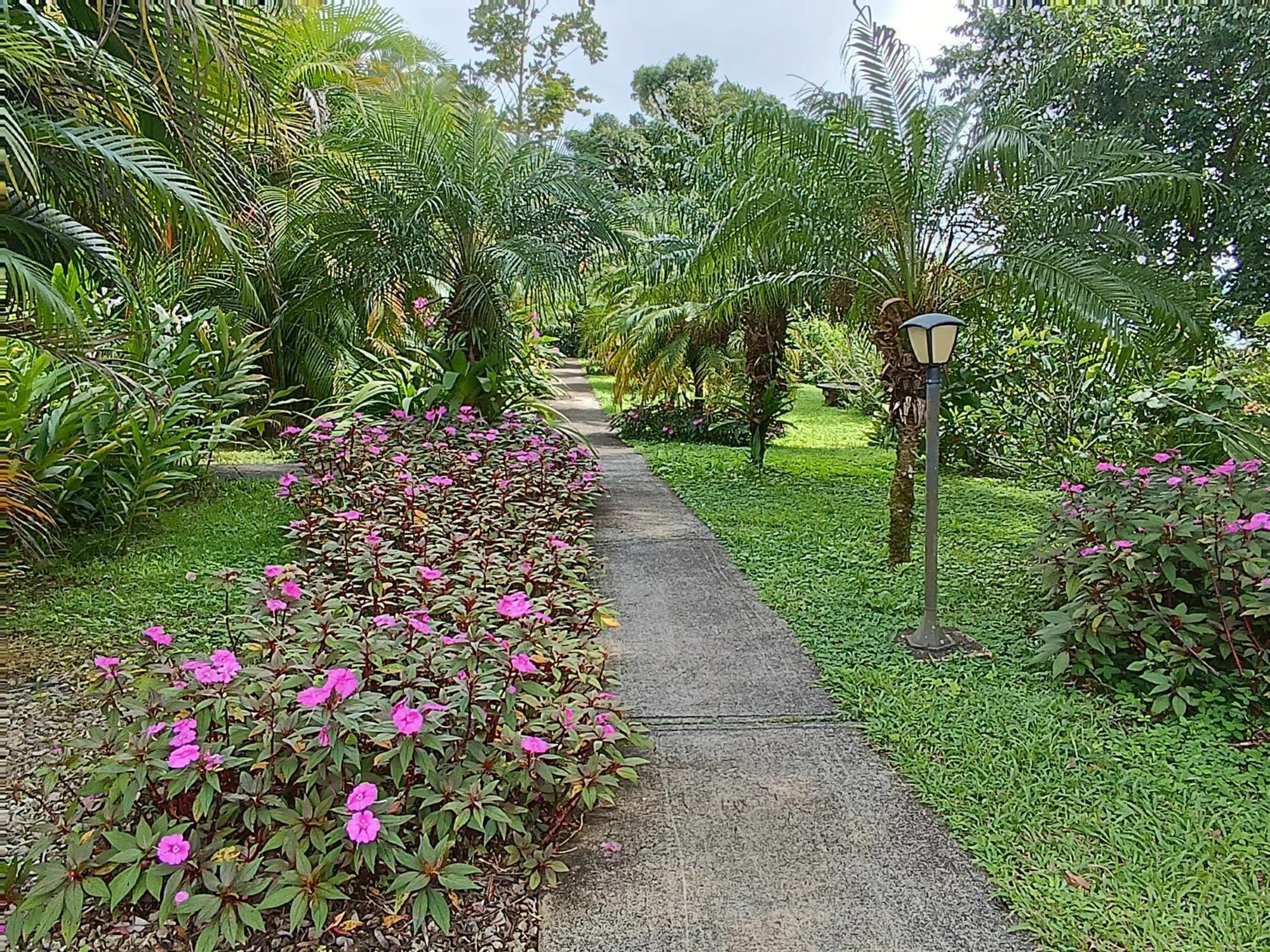 נובו ארנל Lakegardens Arenal Condos מראה חיצוני תמונה