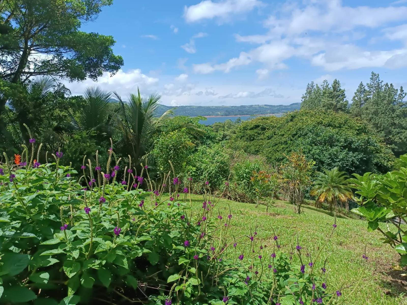 נובו ארנל Lakegardens Arenal Condos מראה חיצוני תמונה