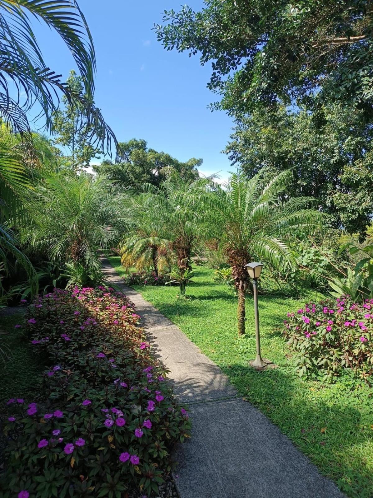 נובו ארנל Lakegardens Arenal Condos מראה חיצוני תמונה